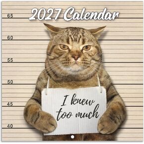 2025-2026 Wall Calendar - July 2025 - December 2026, Funny Cat Calendar 2025-2026, 18-Month Calendar, Funny Cat Memes Pics, 12" x 24" Opened, 2025 Calendar in Kuwait