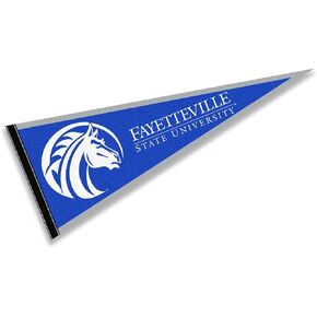 College Flags & Banners Co. Fayetteville State Broncos Pennant