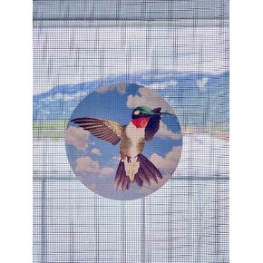 Retractable Screen Door Decals (Stickers) - 6 per Package - Keep Children Safe - Alert Birds, Dogs, Kids - Warn, Protect, Window Safety - Hummingbird Set