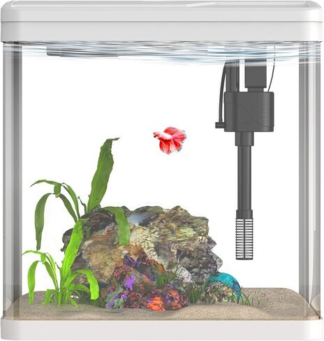 2 Gallon Glass Small Fish Tank Starter Kits - Betta Fish Tank with Filter and Light, Self-Cleaning Fish Tank. in Saudi Arabia