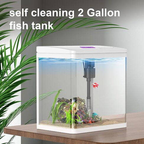 2 Gallon Glass Small Fish Tank Starter Kits - Betta Fish Tank with Filter and Light, Self-Cleaning Fish Tank. in Saudi Arabia