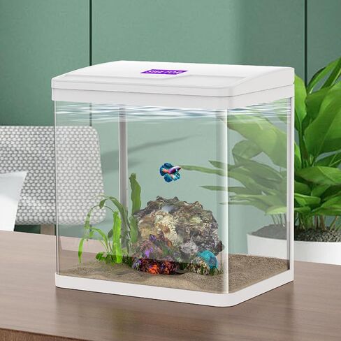 2 Gallon Glass Small Fish Tank Starter Kits - Betta Fish Tank with Filter and Light, Self-Cleaning Fish Tank. in Saudi Arabia