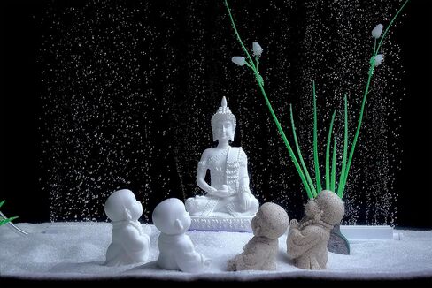 Carefree Fish Aquarium Decoration Minimalist Sandstone Buddha Fish Tank Decor Bring Home a Ray of Sunshine in Saudi Arabia