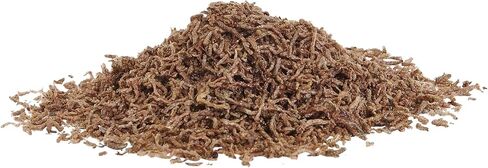 (3 Pack) Aqueon Betta Bloodworm Treat, 0.175 Ounce in Saudi Arabia