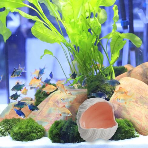 AnRui Cute Aquarium Decorations Ceramic Conch Shell-Shaped House Thematic Betta Fish Tank Accessory Decor Ornament Hideout Cave for Fish Playing or Hiding, Pink in Saudi Arabia