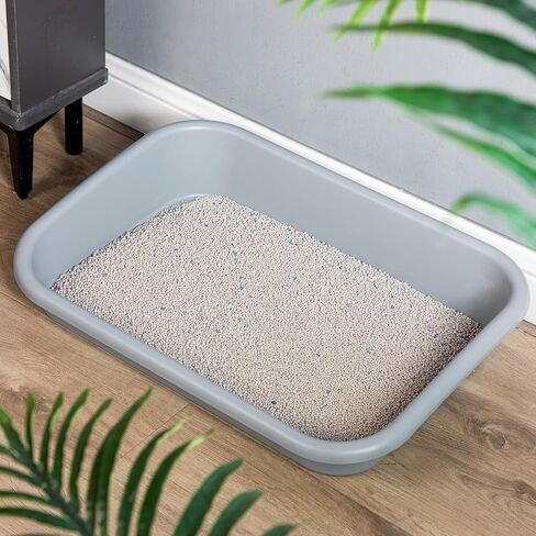 Suclain 6 Pcs Extra Large Low Entry Cat Litter Box 23.23 x 16.54 x 4.33 inch Pet Litter Box Open Top Shallow Kitten Litter Box for Frail Handicap Disabled Older Elderly Cats(Black, Gray, Blue) in Saudi Arabia