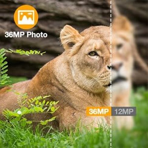 VOOPEAK 2 Pack Trail Camera 2K 36MP 2024 Updated Hunting Game Camera Motion Activated Trail Cam Scouting Hunting Cam Wildlife with 2.0 LCD Screen 120° Wide Angle Lens Night Vision Waterproof in Saudi Arabia