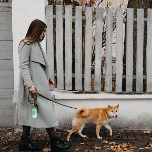 2 Pack Dog Poop Bag Holder with 1 Roll of Grey Dog Waste Bags and Leash Clip with Keychain Hands-free Dog Walking Accessories(Blue) in Saudi Arabia