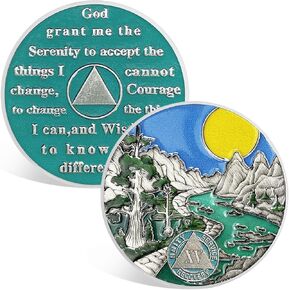 CHURYUML 1 Year Sobriety Coin One Year Sobriety Chip Sobriety Gifts for Women Men AA Chips and Medallions Alcoholics Anonymous Addiction Recovery Gift Sober Anniversary Gifts