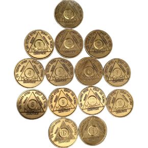 Complete 18 Month Set of Bronze AA Medallions 14 Chips 24 Hours Months 1-11 18 and 1 Year