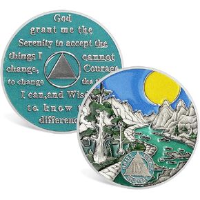CHURYUML 1 Year Sobriety Coin One Year Sobriety Chip Sobriety Gifts for Women Men AA Chips and Medallions Alcoholics Anonymous Addiction Recovery Gift Sober Anniversary Gifts in Kuwait