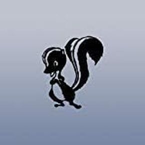 cybersavs Skunkworks Vinyl Laptop Helmet Art Window Decoration Adhesive Vinyl Wall Wall Art Sticker Decal Auto Die Cut Bike Notebook Top Secret ADP Aircraft Black Home Decor