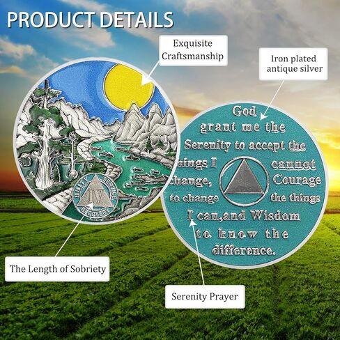 CHURYUML 1 Year Sobriety Coin One Year Sobriety Chip Sobriety Gifts for Women Men AA Chips and Medallions Alcoholics Anonymous Addiction Recovery Gift Sober Anniversary Gifts in Kuwait