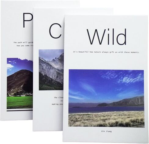 كتب زخرفية لصندوق تخزين طاولة القهوة، كتب تصميم ديكور رف الكتب، ديكور المنزل، كتاب المزرعة، كتب صناعية للديكور، كتاب ديكور طبيعي، ديكور أبيض لغرفة المعيشة، مجموعة من 3 in Kuwait