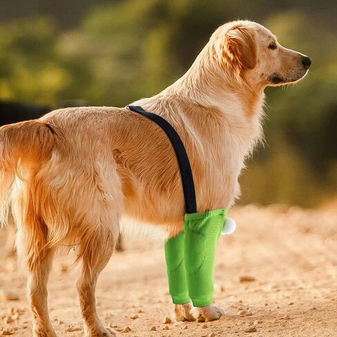 Dog Elbow Protector for Calluses, Elbow Sleeves with Pad for Medium Large Dogs, Soft Recovery Sleeve for Front Legs, Dog Knee Brace Protector, Elbow Joint Support Cover Wrap Stop Licking Wounds in Saudi Arabia