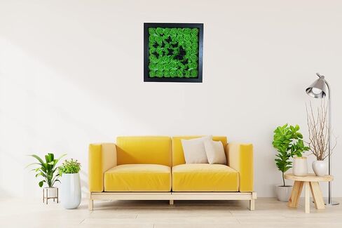 Mothers Day Flowers Gift - Gift for Mom, Floral Shadow Box Wall Art, Rose 3D Butterfly Wall Décor Framed Wall Art, Birthday Gift, Gifts for Her (Fuchsia) in Saudi Arabia