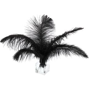 PATIKIL 100 Pcs Natural Ostrich Feathers Bulk 8-10 Inch/ 20-25 cm Large Ostrich Feathers for Crafts Home Decoration Wedding Party Vase Decor Centerpieces (Black)