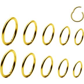 Dyknasz 10Pcs Hypoallergenic Nose Rings Hoops 18G Surgical Steel Hinged Segment Ring Nose Ring Nose Piercings Nostrial Piercing Jewelry for Women 6mm/7mm/8mm/9mm/10mm