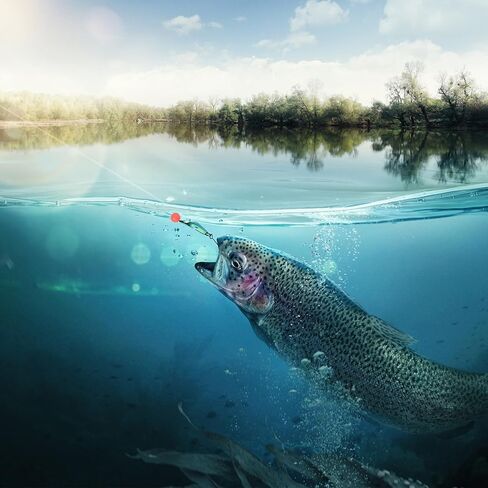 خرز صيد السمك من باتيكل مصنوع من البلاستيك المستدير والمطاط لصيد الأسماك على شكل بيض وخرز وملحق مع صندوق تخزين in Kuwait