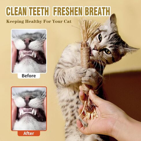 pldxagn Cat Toys,3Pack Silvervine Chew Stick,Kitten Treat Catnip Toy Kitty Natural Stuff Catnip for Cleaning Teeth Indoor Dental Snack Interactive in Saudi Arabia