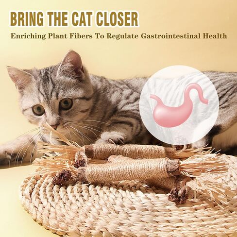 pldxagn Cat Toys,3Pack Silvervine Chew Stick,Kitten Treat Catnip Toy Kitty Natural Stuff Catnip for Cleaning Teeth Indoor Dental Snack Interactive in Saudi Arabia
