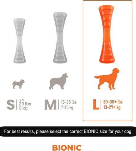 BIONIC Urban Stick Dog Toy, Small - Interactive Dog Chew Toy That Stands Up to The Toughest Chewers, for Dogs up to 20 lbs. (9 kg) in Kuwait