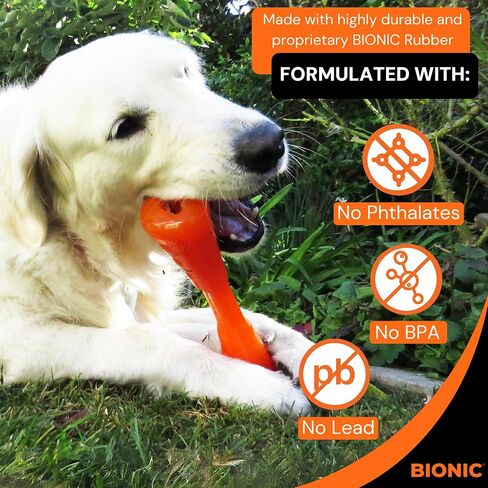 BIONIC Urban Stick Dog Toy, Small - Interactive Dog Chew Toy That Stands Up to The Toughest Chewers, for Dogs up to 20 lbs. (9 kg) in Kuwait