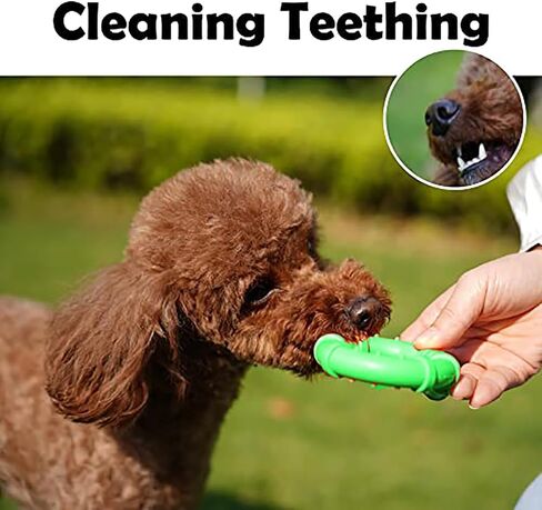 Dog Chew Toys for Aggressive Chewers Dog Chew Toys for Small Dogs Natural Rubber Puppy Teething Toys 2 pcs in Saudi Arabia