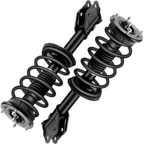 ECCPP Complete Struts Spring Assembly Front Struts Shock Absorber Fit for 2011 2012 2013 2014 2015 for Ford Edge 2011 2012 2013 2014 2015 for Lincoln MKX Set of 2