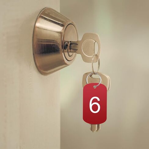 10pcs Aluminum Key Tags with Ring Number Marking Identification Tag Number Tags Keychain Number Label for Dormitory Keys House Lockers, Red in Saudi Arabia