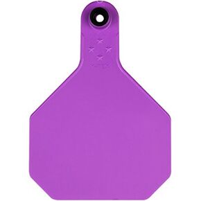 Y-Tex 4 Star Large Blank Cattle Tags 25 Count Purple