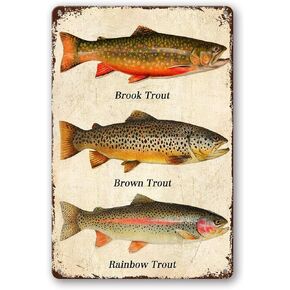Fish Rainbow Trout Brook Trout Brown Trout Metal Tin Signs, Vintage Wall Decor Retro Art Tin Sign Funny Decorations For Home Bar Pub Cafe Farm Room Metal Posters 8x12 Inch