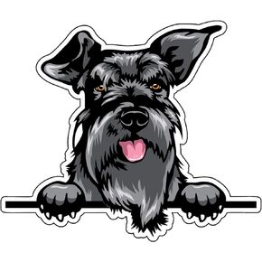 WickedGoodz Smiling Schnauzer Vinyl Decal - Dog Breed Bumper Sticker - for Laptops Tumblers Windows Cars Trucks Walls