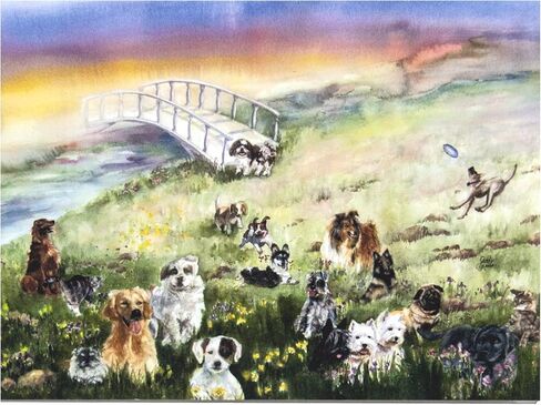 بطاقة تعاطف للحيوانات الأليفة على شكل جسر قوس قزح للكلاب in Kuwait