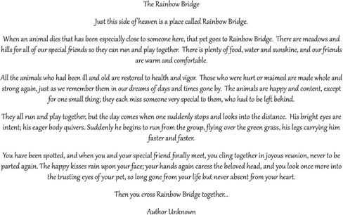 بطاقة تعاطف للحيوانات الأليفة على شكل جسر قوس قزح للكلاب in Kuwait