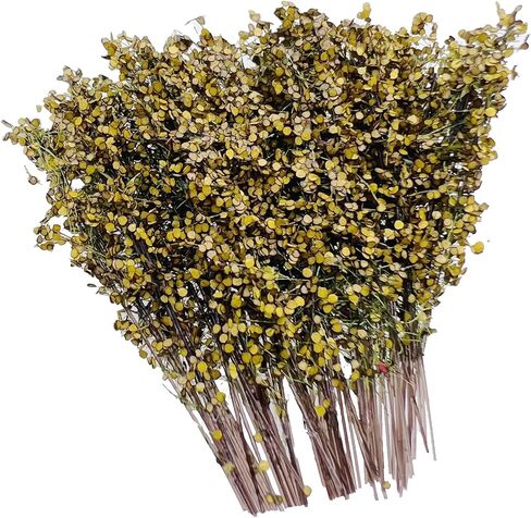 Woohome Green Miniature Shrubs Model Bushes Long Shrub Vegetation Groups Model Grass Tufts for DIY Architecture Building Model Railway Train Diorama Garden Scenery Landscape Layout in Saudi Arabia