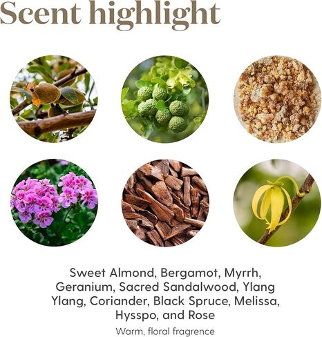 Young Living White Angelica 5ml - Nurturing Aroma Essential Oil Blend - Aromatherapy for a Positive Atmosphere - Skin Benefits and a Fragrance with an Earthy Scent in Saudi Arabia