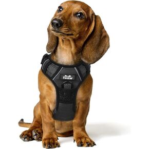 TwoEar Dog Harness, No Pull Reflective Harness Front Clip Easy Control Handle Adjustable Soft Padded Pet Vest for Puppy Small Medium Large Dogs Breed Pet(Medium,Blue)