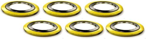 تم تعيينه بواسطة Sterling Seal & Supply SW-6-150-304GRx6.stel حشية الجرح الحلزونية مع لفات 304SS، أنبوب مقاس 6 بوصات، شفة فئة 150#، ملفات 304SS مع حشو جرافيت، API-601 (عبوة من 6) in Kuwait