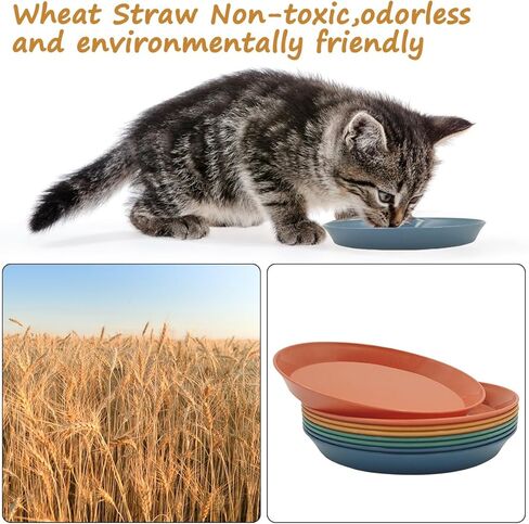 8 قطع من أوعية القطط، أوعية القطط، أطباق يوكول للقطط مقاس 6 بوصة للقطط الداخلية للقطط الصغيرة والقطط ذات الأرجل القصيرة (دائرية) in Kuwait