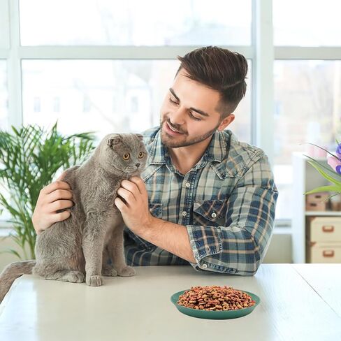 8 قطع من أوعية القطط، أوعية القطط، أطباق يوكول للقطط مقاس 6 بوصة للقطط الداخلية للقطط الصغيرة والقطط ذات الأرجل القصيرة (دائرية) in Kuwait