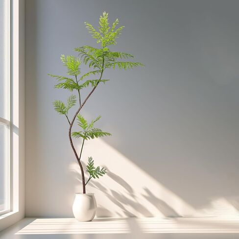 شجرة جاكاراندا ميموسيفوليا الاصطناعية، نباتات وهمية بطول 59 بوصة، نباتات مظلة صناعية للداخلية، أشجار وهمية للمكتب، المنزل، غرفة المعيشة، أرضية الفناء، ديكور الشرفة in Kuwait