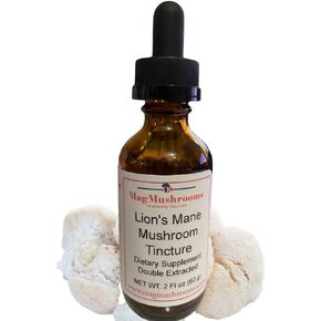 MagMushrooms Lion’s Mane Tincture, High Potency, Double Extracted, 60 Daily Doses