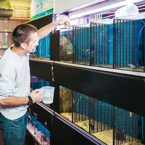 16 عبوة من مقسم خزان الأسماك، شبكة قفص بيض بلاستيكي مقاس 11.8 بوصة، عزل سفلي لخزان الأسماك مع 16 قطعة من المشابك الماصة لموزع ضوء التكاثر المختلط in Kuwait