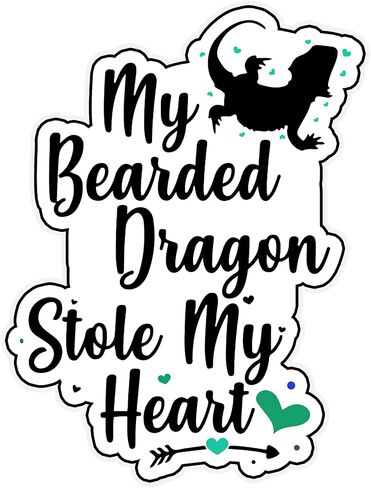 My Bearded Dragon Stole My Heart Vinyl Waterproof Sticker Decal Car Laptop Wall Window Bumper Sticker 6" in Saudi Arabia