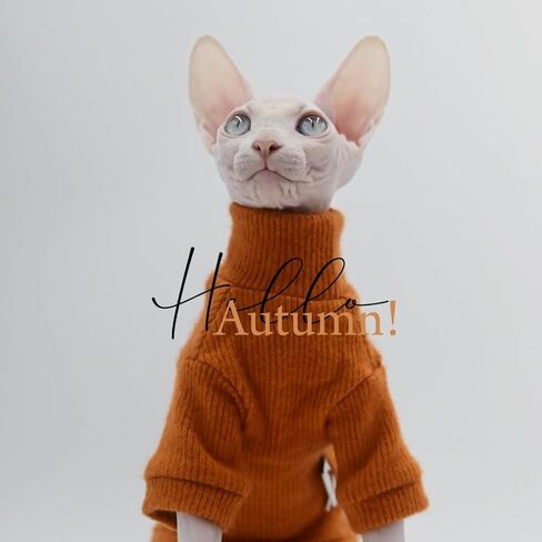 Elegant Warm DUOMASUMI Sphynx Cat Sweater Fashion Kitty Hairless Cat Clothing Comfort Winter Dress for Sphynx Cat (S) in Saudi Arabia