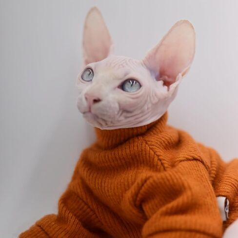 Elegant Warm DUOMASUMI Sphynx Cat Sweater Fashion Kitty Hairless Cat Clothing Comfort Winter Dress for Sphynx Cat (S) in Saudi Arabia