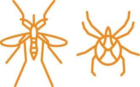 BUGGINS IV Performance 6oz Continuous Spray | Effective Mosquito and Tick Repellent with Clean Scent | 25% DEET in Saudi Arabia