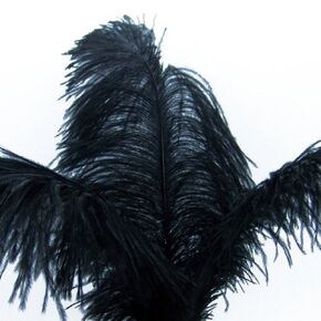 KOLIGHT® 10pcs Ostrich Feather Black 12"-14" Natural Feathers Wedding, Party,Home,Hairs Decoration