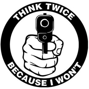 Think Twice Because I Won't Gun Printed Decal Sticker - Sticker Graphic - Waterproof - Fade Resistant Die Cut